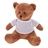 Brown bear with white shirt