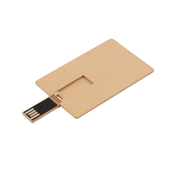 USB fremstillet i et nedbrydeligt fiber materiale