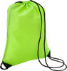 Drawstring bag green