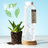 Pla vandflaske med logo fra planter